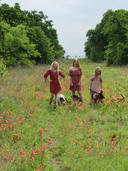 17952466_1933771903518996_8738225737930705657_n