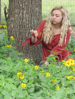 18010445_1933754506854069_5536130413243528413_n (1)