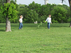 18033039_1933703286859191_3623672927238354805_n