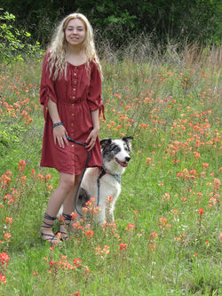 18033530_1933763563519830_3970384336550398441_n