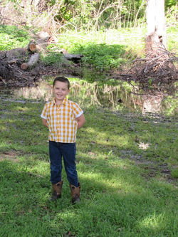 17862508_1928186987410821_2661827624251524657_n