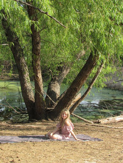 18011044_1933746233521563_366678585004777874_n