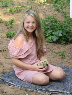 18033170_1933740736855446_8315243128187168440_n