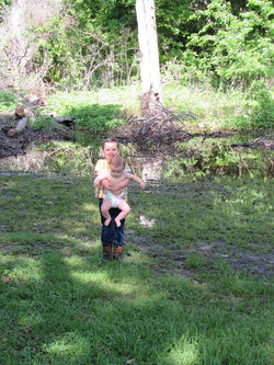 17800384_1928187594077427_7336777819248472200_n