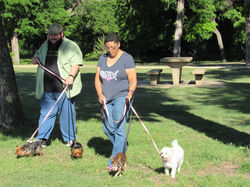 17796771_1928133374082849_6274505351688037032_n