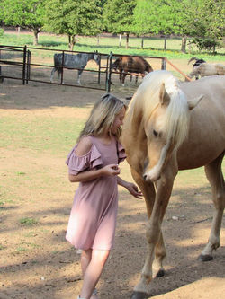 17951859_1933742403521946_2344094386843849064_n