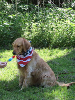 17800263_1928172177412302_6321499292486337753_n