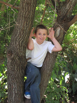 18268358_1939999649562888_2817319067299598976_n