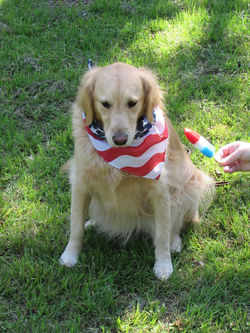 17798970_1928169630745890_1487694747726284587_n