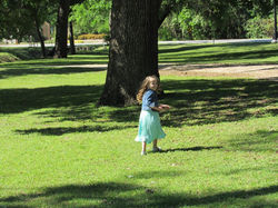 17799286_1928114154084771_109254668654032899_n