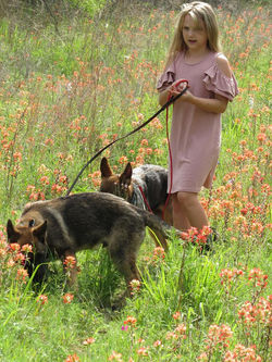 17990821_1933769816852538_7101571548245280703_n