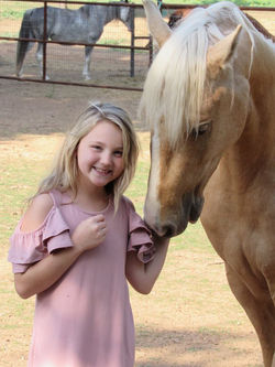 18011141_1933742830188570_6767887961697773809_n