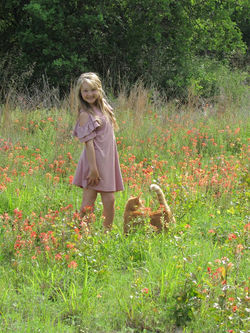 18011118_1933759976853522_4611509278713811018_n