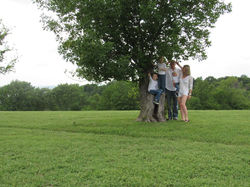 18010611_1933694810193372_6763590962159635822_n