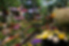 myflower Berlin Südkreuz Sortiment