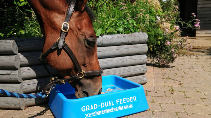 The Grad-Dual Feeder