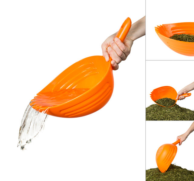 Orange Shark Skup