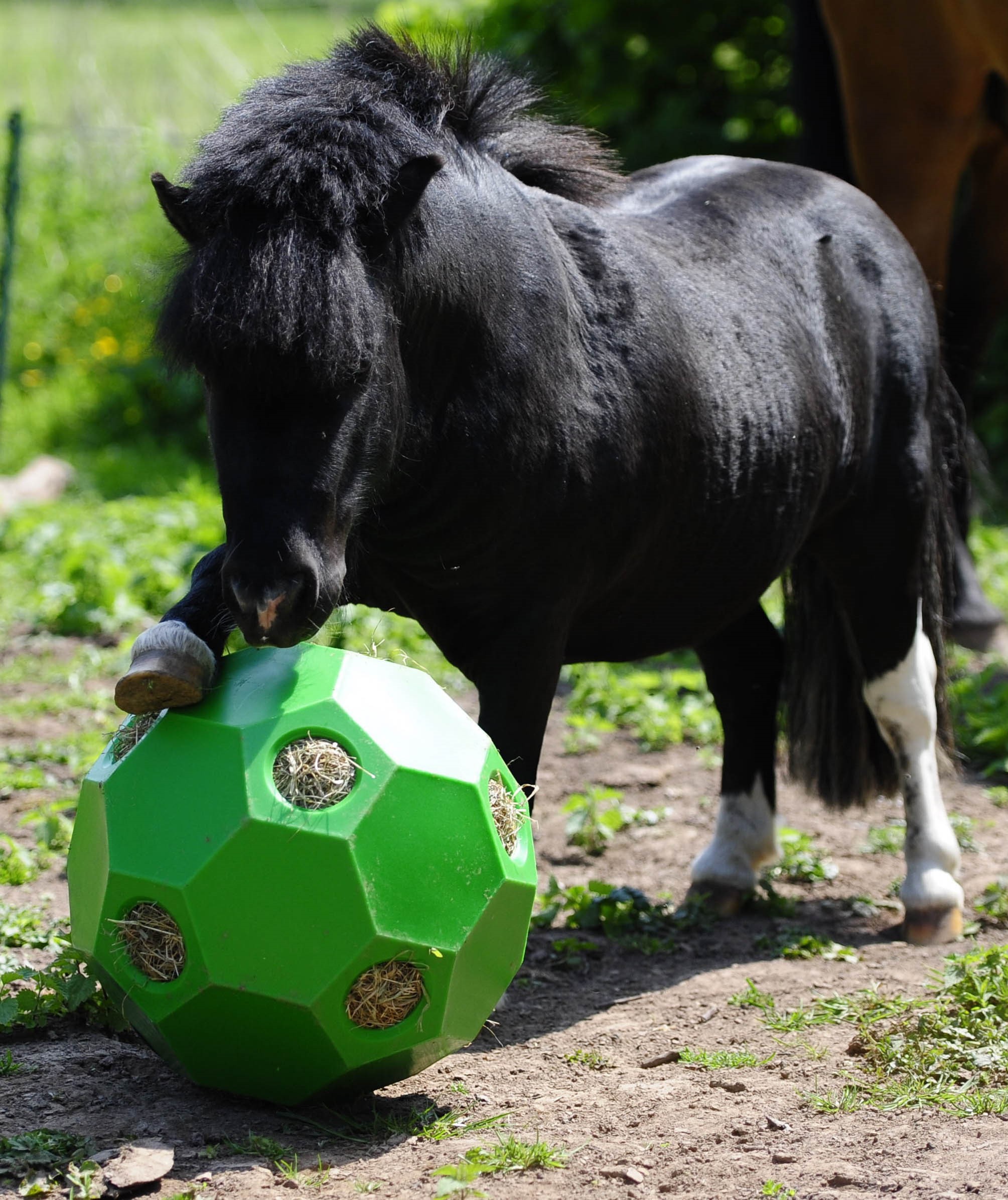 Hay Play Horsefeeders