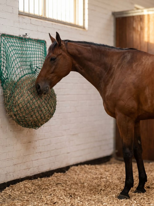The Hay Nest is a modern, wall-mounted solution designed to simplify daily feeding. Reducing time taken to fill and carry and hay nets, it makes yard routines easier, cleaner, and more efficient for staff reducing costs