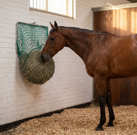 The Hay Nest wall mounted forage feeder