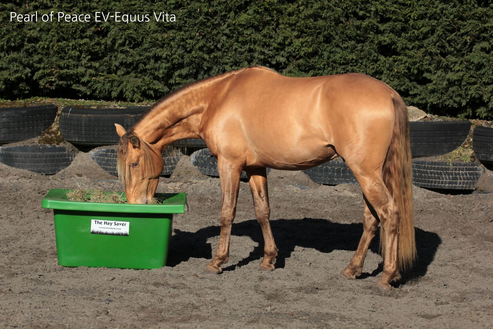 Horse Hay Feeder, corner, hay saver, slow feeder, UK manufactured