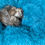 Miniaturbild: blaues Hundebett, sehr kuschlig und bequem, Hundedonut, Annas Hundeshop