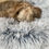 Miniaturbild: hellgraues Hundebett/ Hundedonut- Annas Hundeshop