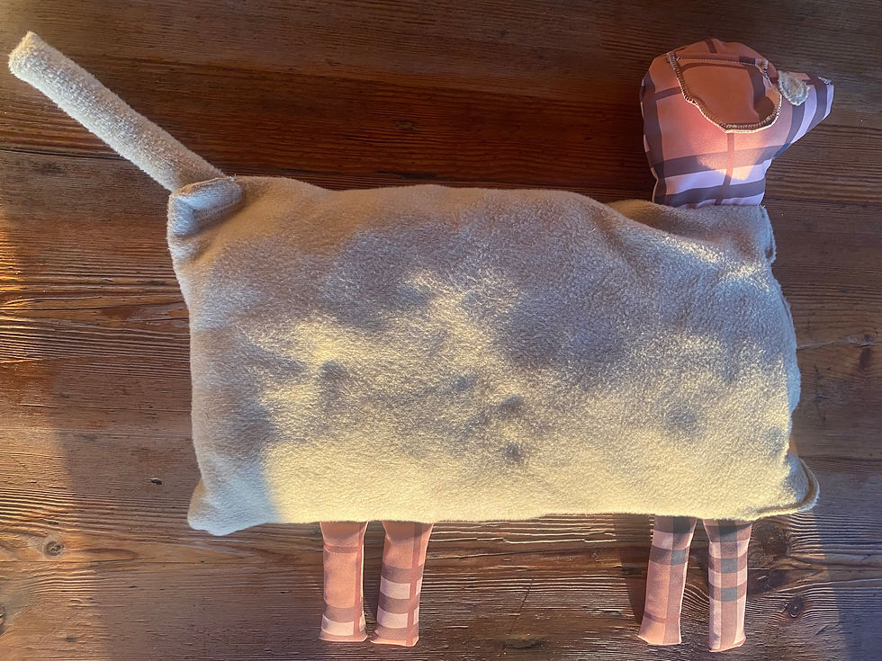 Miniaturbild: Hundekissen zur Hundetasche "Caro"