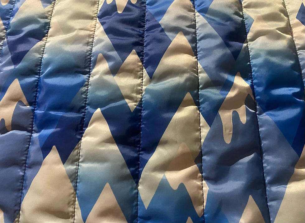 Miniaturbild: Stoffauswahl (Außenstoff) für die Hundetasche