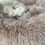 Miniaturbild: Hellbraunes Hundebett/ Hundedonut, sehr bequem und kuschlig / Annas Hundeshop
