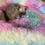 Miniaturbild: Hundebett rund/ Hundedonut regenbogenfarben -Annas Hundeshop