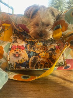 Miniaturbild: Hundetasche 100 % Handarbeit auf Rügen/ Annas Hundetasche