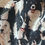 Miniaturbild: Hundedecke von Anna "Hesta"