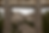 MtRushmore.png