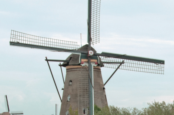Holland & Belgium in Springtime