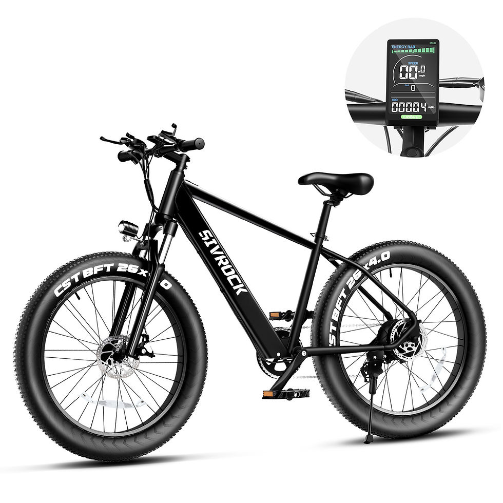 Professional Electric Bike For Adults, 26 X 4.0 Inches 1000W Motor 48V 15Ah