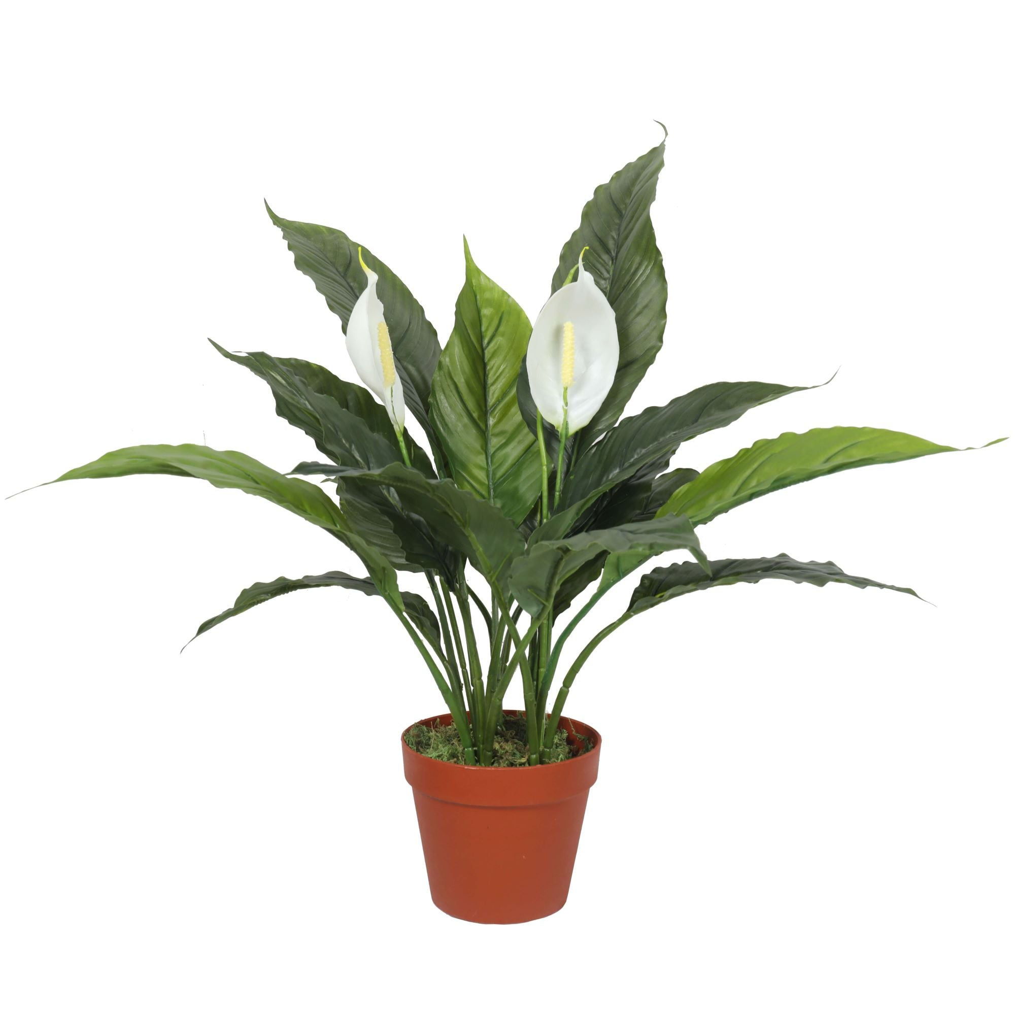 Artificial Spathiphyllum Peace Lily Plant With White Flowers 60cm