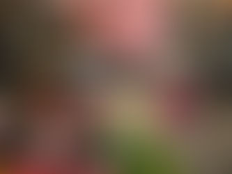 Currently ( a series of my current favs ) | January