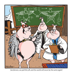 Pigs fly