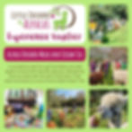 Thumbnail: Alpaca Walk & Cream Tea Voucher