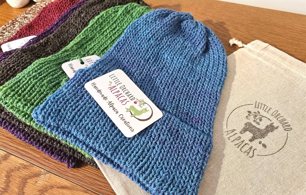 Thumbnail: Alpaca Beanie Hat  - Peacock Blue