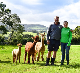 Vic and Rich with alpacas
