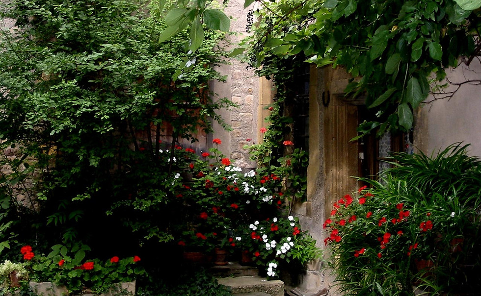 Court Yard