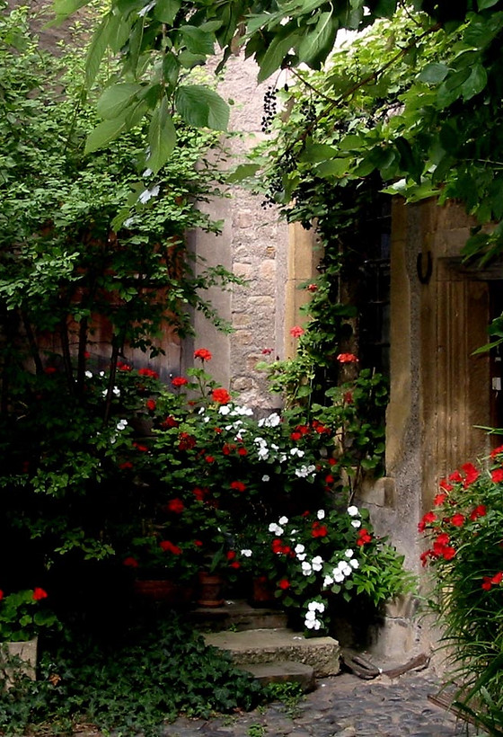 Court Yard