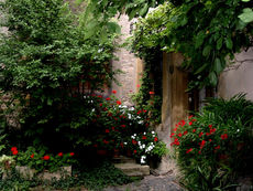 Courtyard Al Quoz