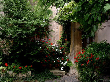 Court Yard