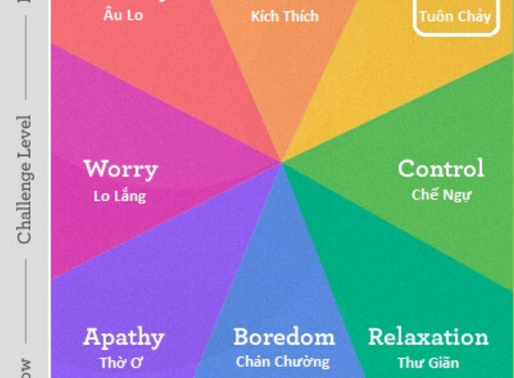 Flow At Work - Dòng Chảy Trong Công Việc: Khoa Học Về Sự Gắn Kết Và Tối Ưu Hiệu Suất (P1)