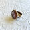 Thumbnail: Taupe Intaglio Ring