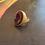 Thumbnail: Marsala Intaglio Gold Ring