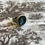 Thumbnail: Montana Blue Sterling Silver Intaglio Ring